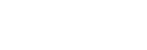 New England Fights Logo